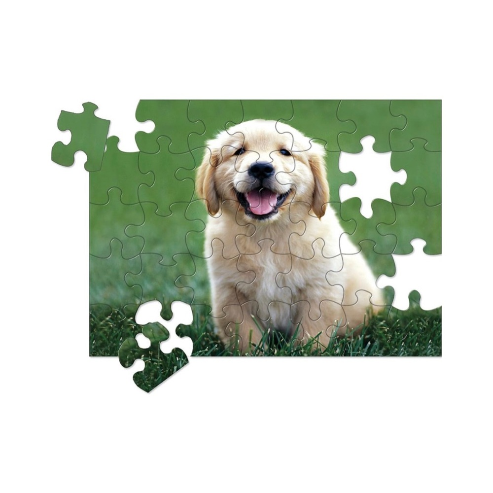 Golden Retriever Puppy Puzzle